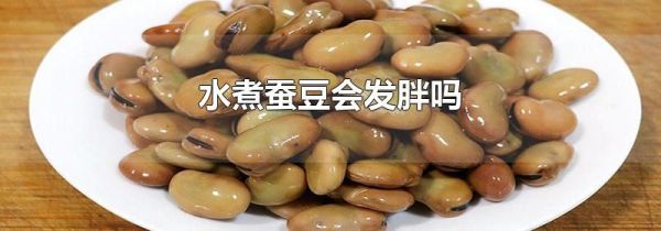 水煮蚕豆会发胖吗