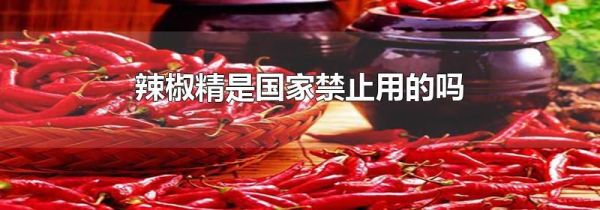 辣椒精是国家禁止用的吗
