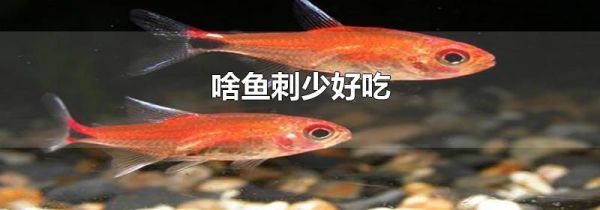 啥鱼刺少好吃