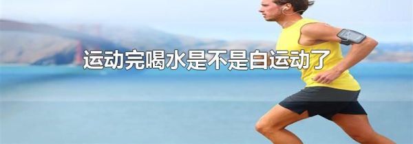 运动完喝水是不是白运动了