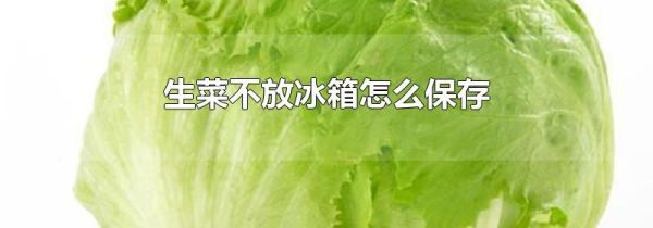 生菜不放冰箱怎么保存