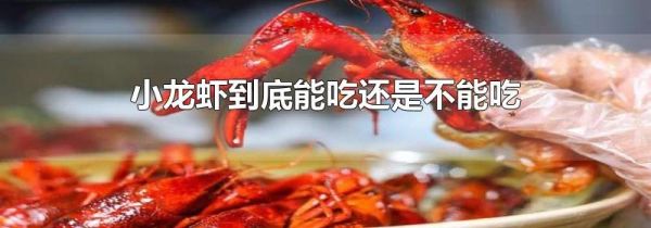 小龙虾到底能吃还是不能吃