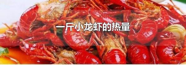 一斤小龙虾的热量