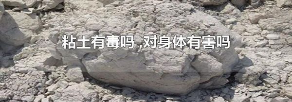 粘土有毒吗 ,对身体有害吗