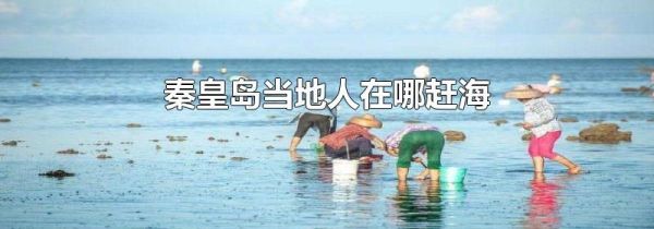 秦皇岛当地人在哪赶海