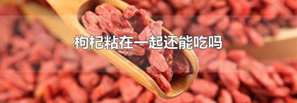 枸杞粘在一起还能吃吗