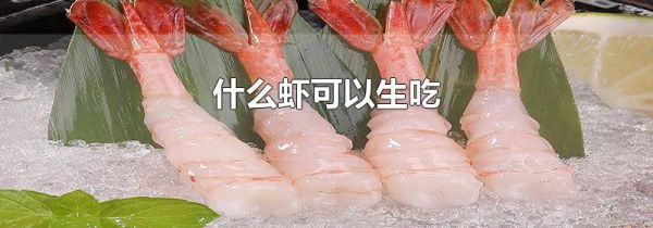 什么虾可以生吃