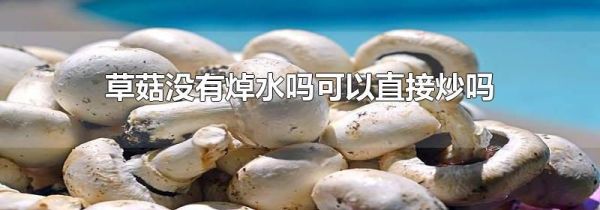 草菇没有焯水吗可以直接炒吗