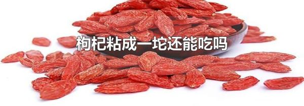 枸杞粘成一坨还能吃吗