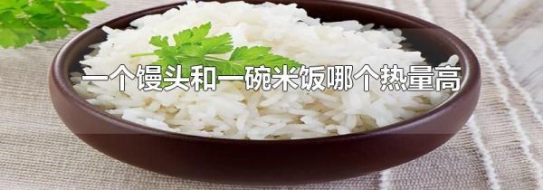 一个馒头和一碗米饭哪个热量高