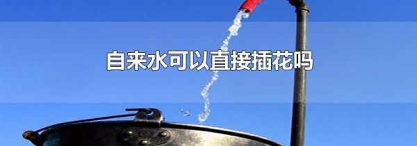 自来水可以直接插花吗