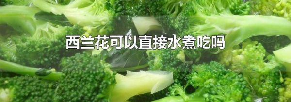 西兰花可以直接水煮吃吗