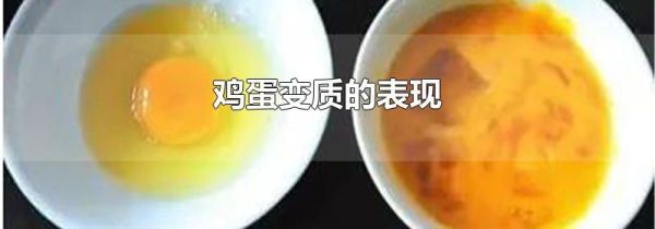 鸡蛋变质的表现