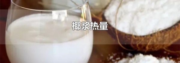 椰浆热量