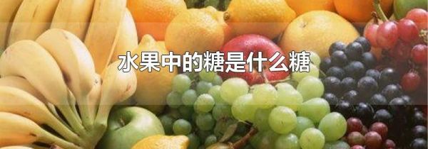 水果中的糖是什么糖