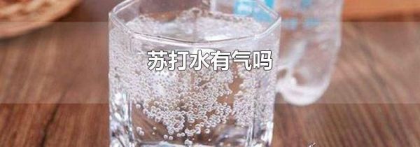 苏打水有气吗