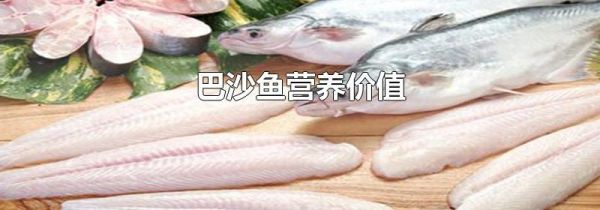 巴沙鱼营养价值