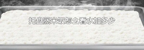 托盘蒸米饭怎么看水加多少