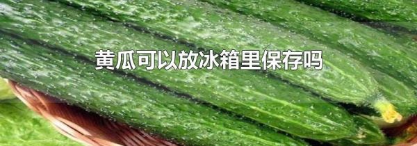 黄瓜可以放冰箱里保存吗