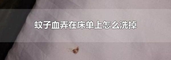 蚊子血弄在床单上怎么洗掉
