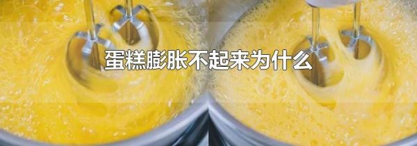 蛋糕膨胀不起来为什么