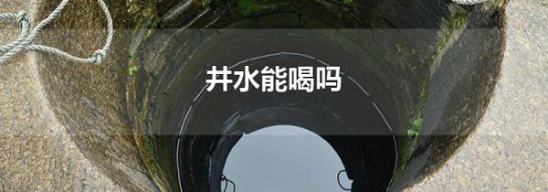 井水能喝吗