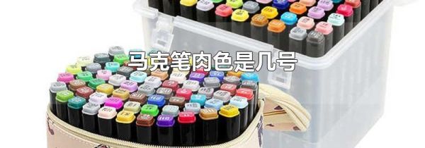 马克笔肉色是几号