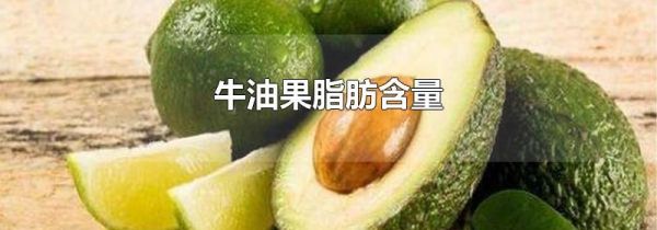 牛油果脂肪含量