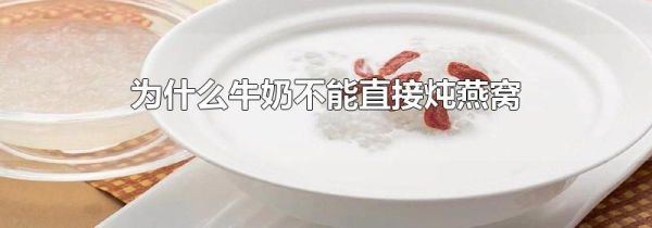 为什么牛奶不能直接炖燕窝