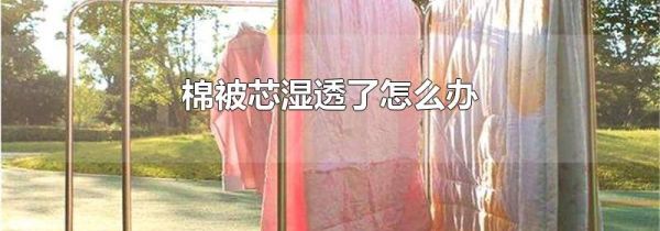 棉被芯湿透了怎么办