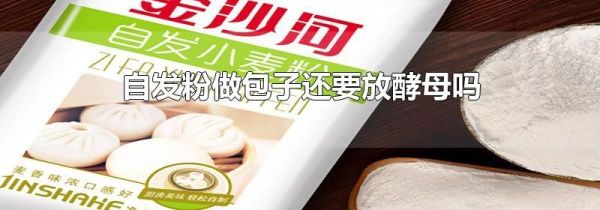 自发粉做包子还要放酵母吗