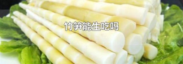 竹笋能生吃吗