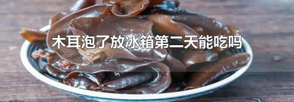 木耳泡了放冰箱第二天能吃吗