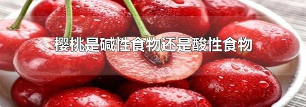 樱桃是碱性食物还是酸性食物