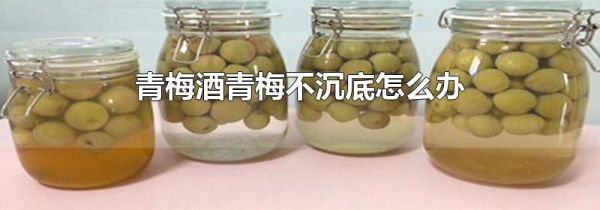 青梅酒青梅不沉底怎么办