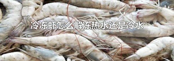 冷冻虾怎么解冻热水还是冷水