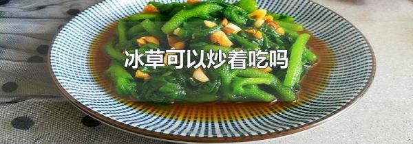 冰草可以炒着吃吗