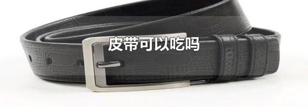 皮带可以吃吗