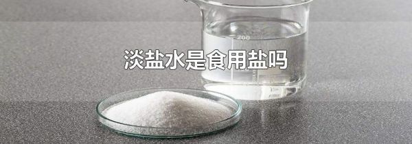 淡盐水是食用盐吗