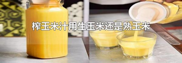 榨玉米汁用生玉米还是熟玉米