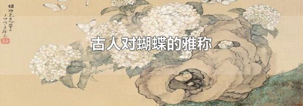古人对蝴蝶的雅称