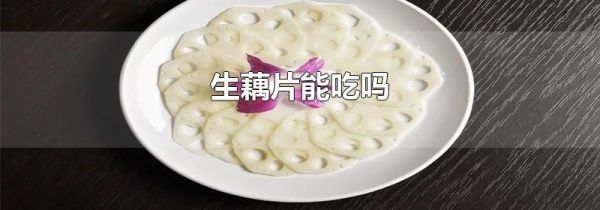 生藕片能吃吗
