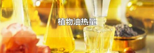 植物油热量