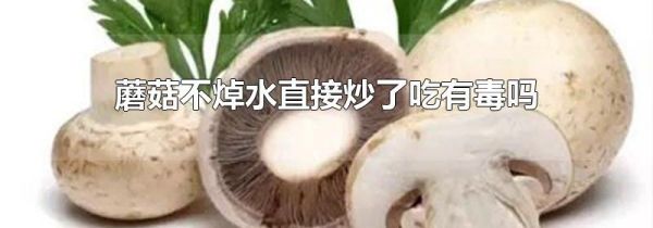 蘑菇不焯水直接炒了吃有毒吗