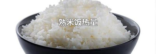 熟米饭热量