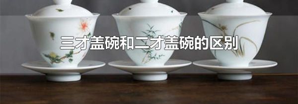 三才盖碗和二才盖碗的区别