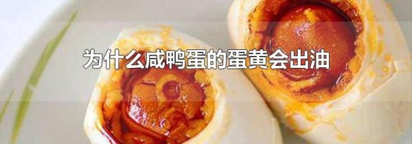为什么咸鸭蛋的蛋黄会出油