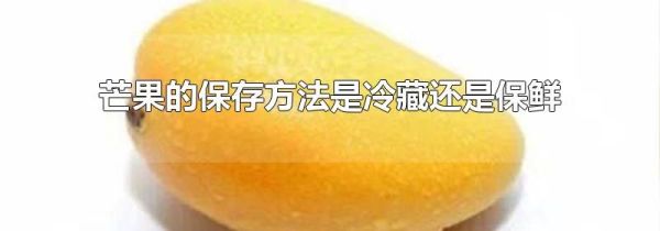 芒果的保存方法是冷藏还是保鲜