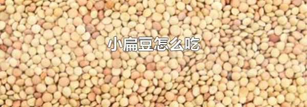 小扁豆怎么吃