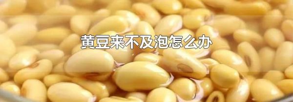 黄豆来不及泡怎么办